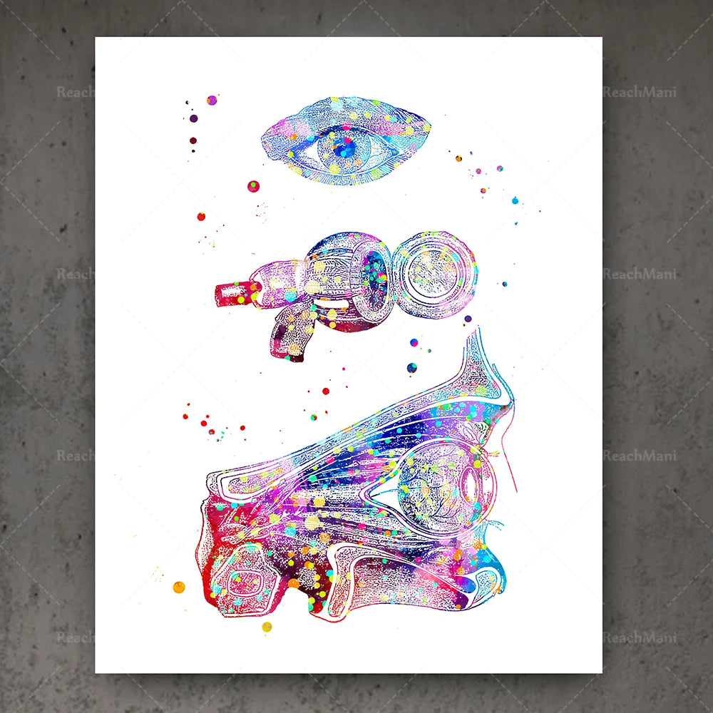 Ophthalmology Art Eye Anatomy Print Set Decor
