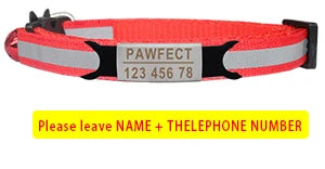 Custom Personalized Reflective Cat Collar