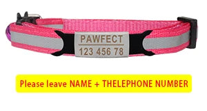 Custom Personalized Reflective Cat Collar