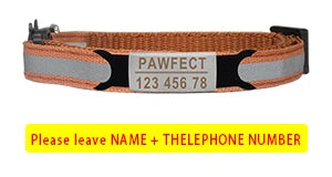 Custom Personalized Reflective Cat Collar