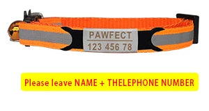 Custom Personalized Reflective Cat Collar