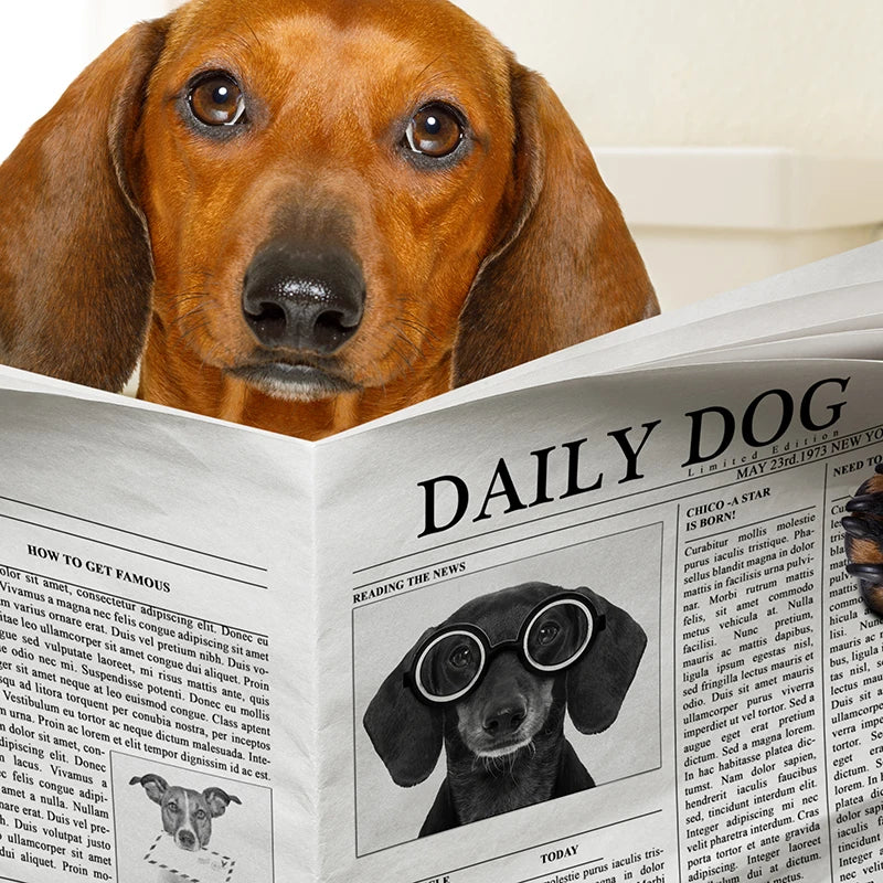 Dog Reading Newspaper Toilet Wall Art Canvas