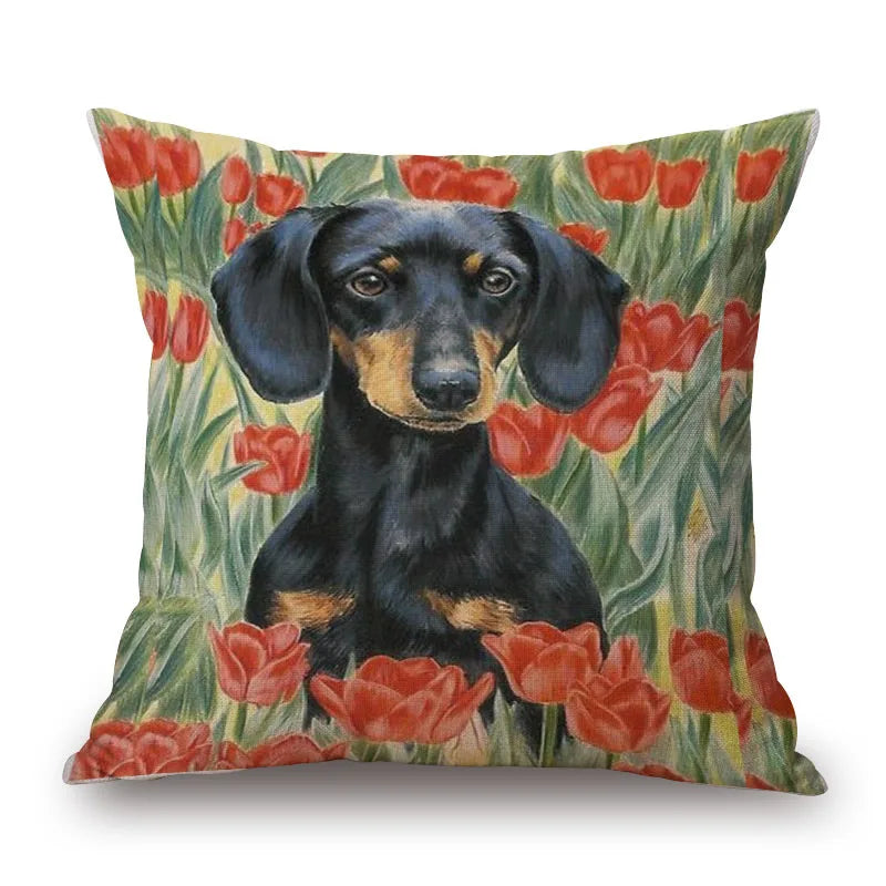 Dachshund Dog Cushion Covers