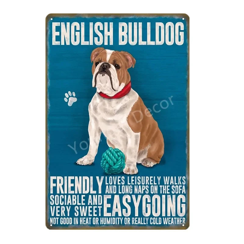 Funny Animals Pet Dogs Wall Decor Poster