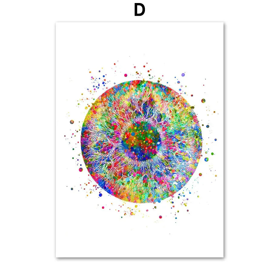 Vision Optometrist Eye Anatomy Doctor Optician Wall Art