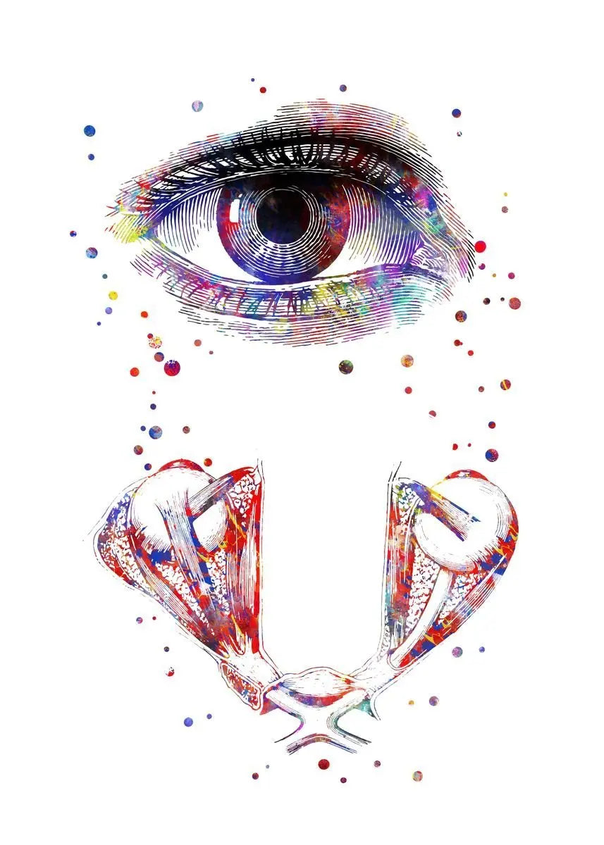 Optician human Eye Anatomy Art Canvas Painting