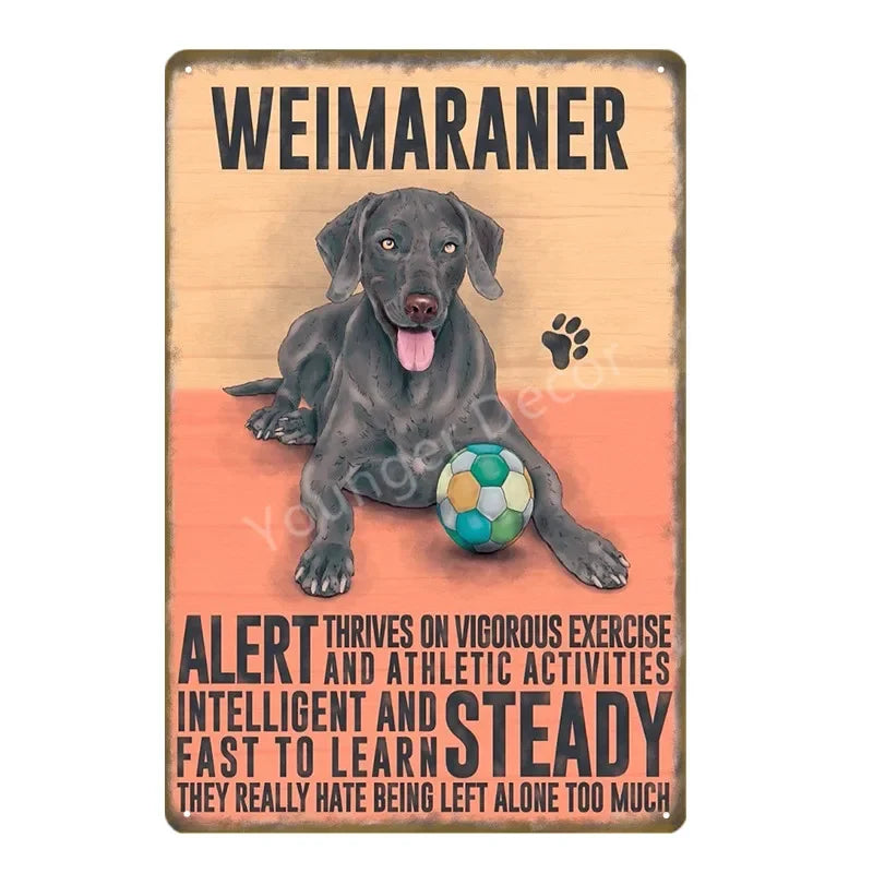 Funny Animals Pet Dogs Wall Decor Poster