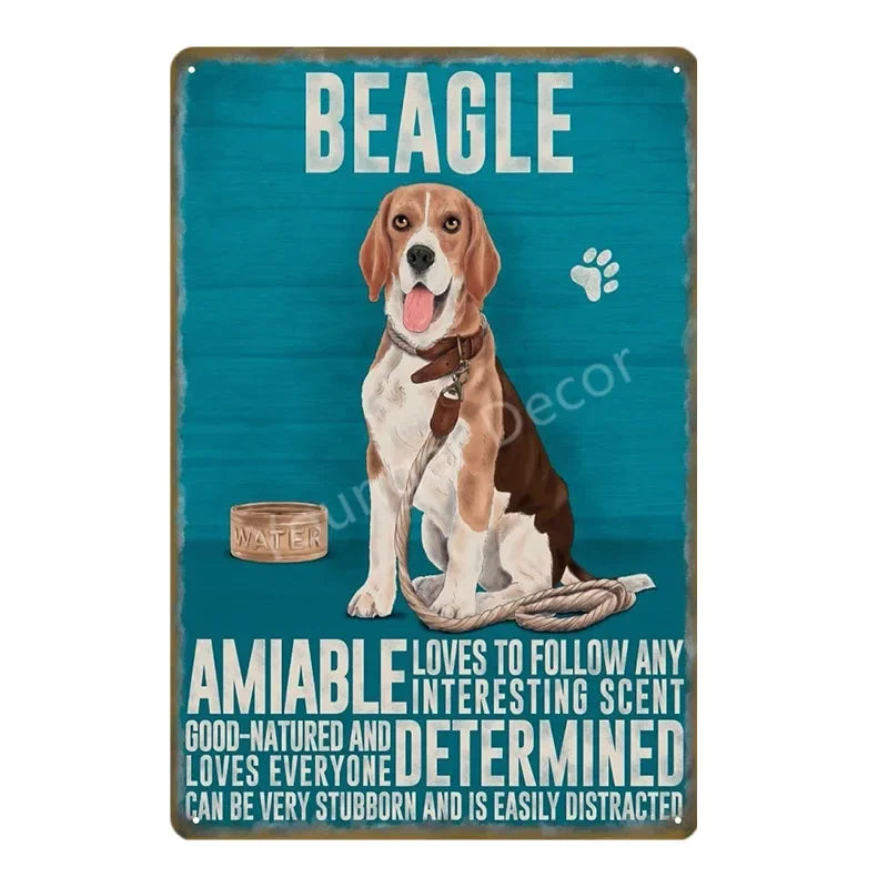 Funny Animals Pet Dogs Wall Decor Poster