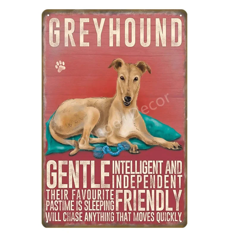 Funny Animals Pet Dogs Wall Decor Poster