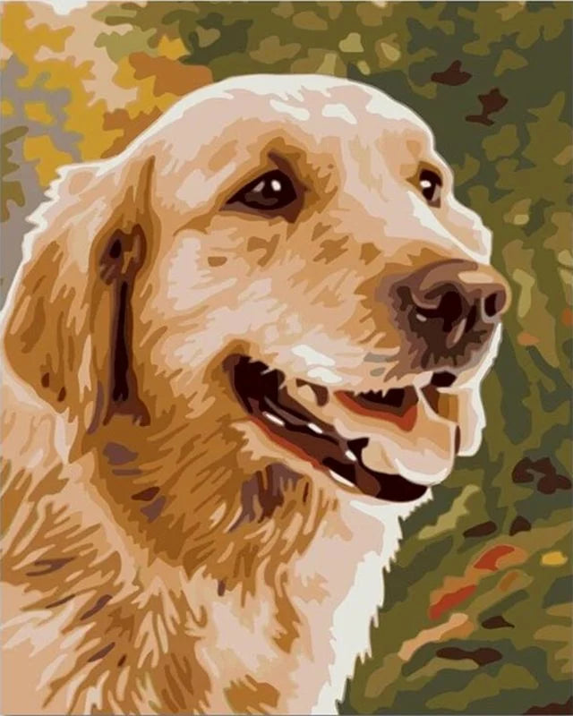40x50cm Painting By Numbers Animals On Canvas