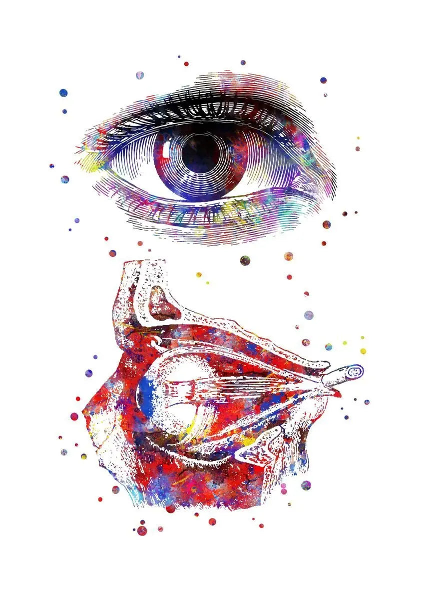 Optician human Eye Anatomy Art Canvas Painting