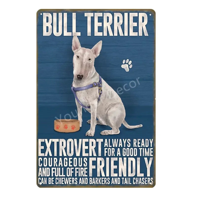 Funny Animals Pet Dogs Wall Decor Poster