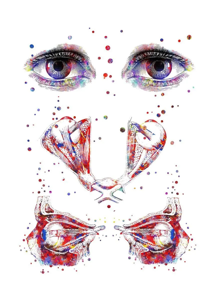 Optician human Eye Anatomy Art Canvas Painting