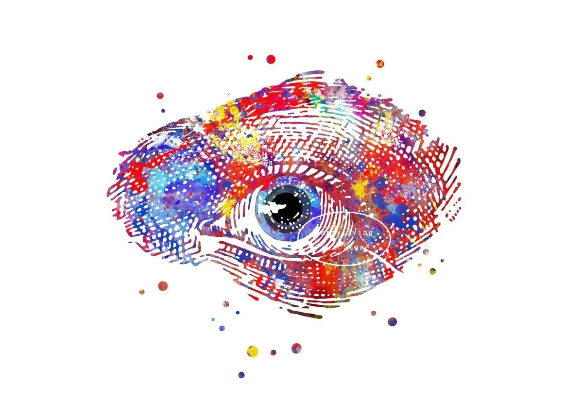 Optician human Eye Anatomy Art Canvas Painting