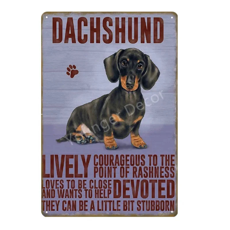 Funny Animals Pet Dogs Wall Decor Poster