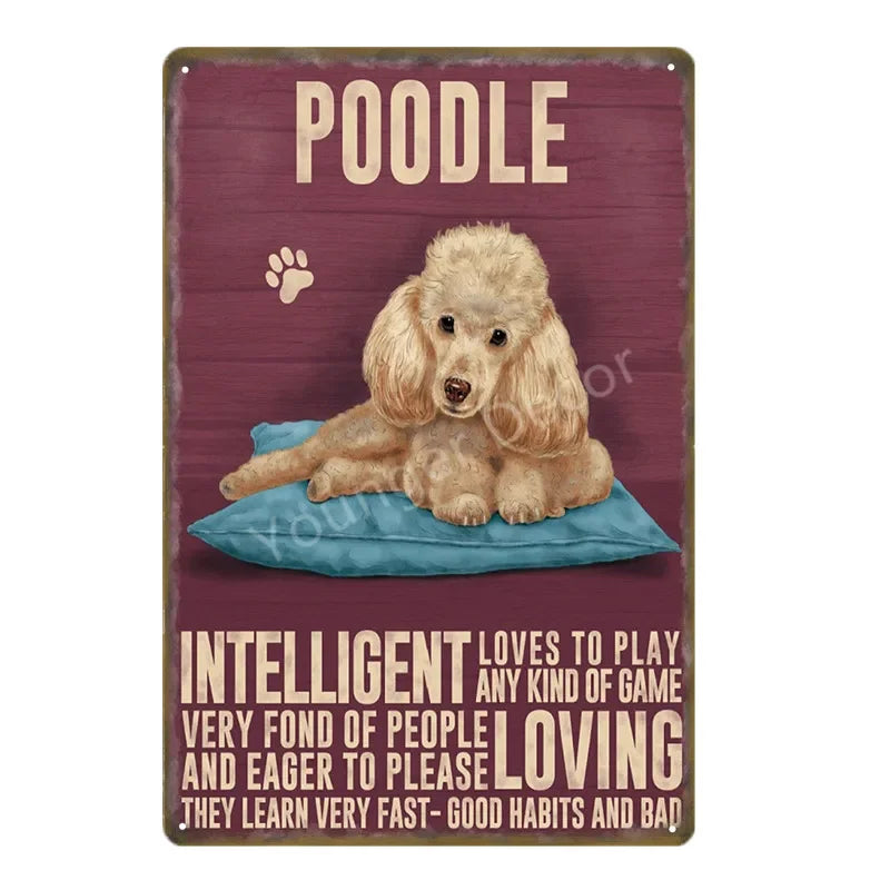 Funny Animals Pet Dogs Wall Decor Poster