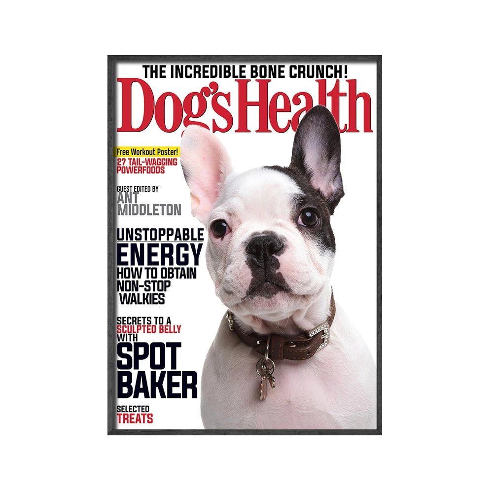 Custom Animals Magazine Dog Cat Pets Photo Fashion Poster