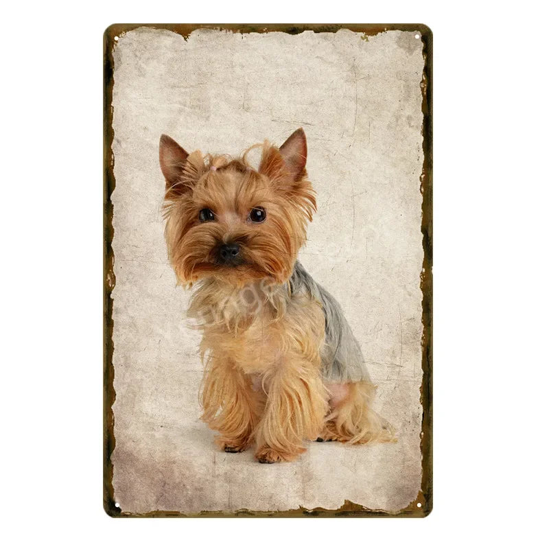 Funny Animals Pet Dogs Wall Decor Poster