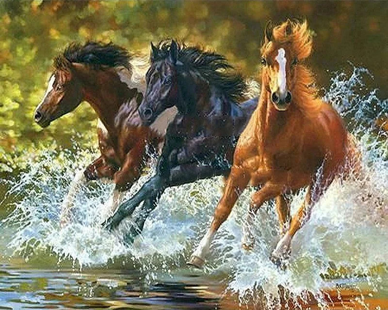 40x50cm Painting By Numbers Animals On Canvas