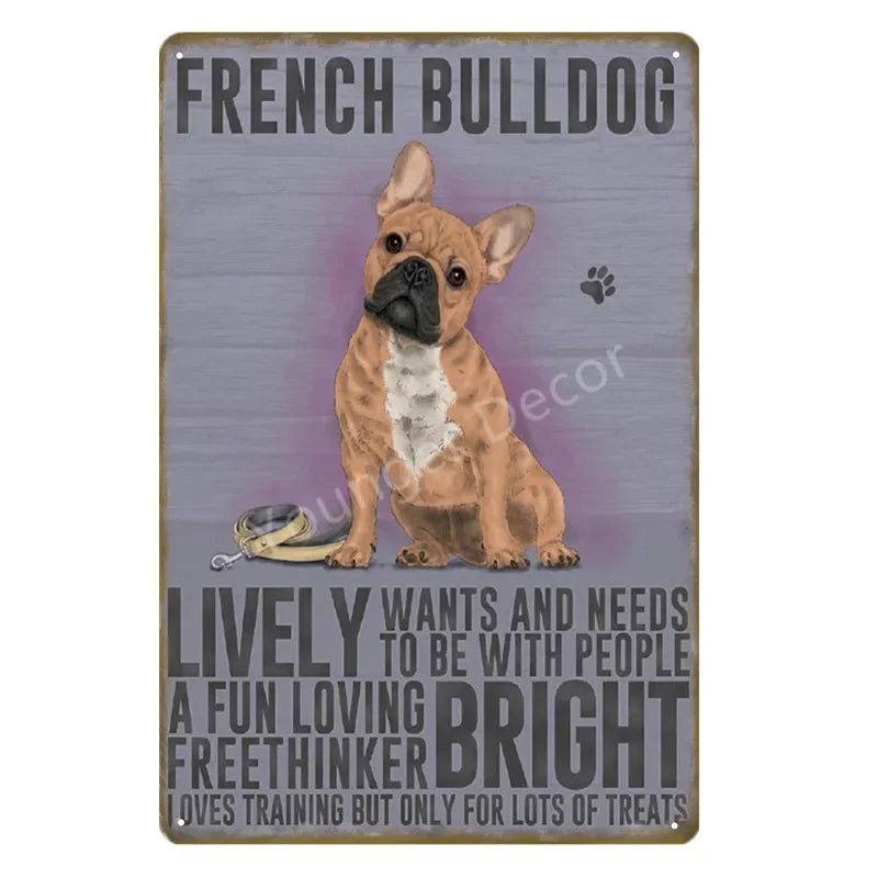 Funny Animals Pet Dogs Wall Decor Poster