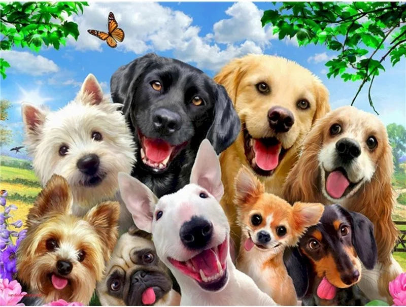 40x50cm Painting By Numbers Animals On Canvas