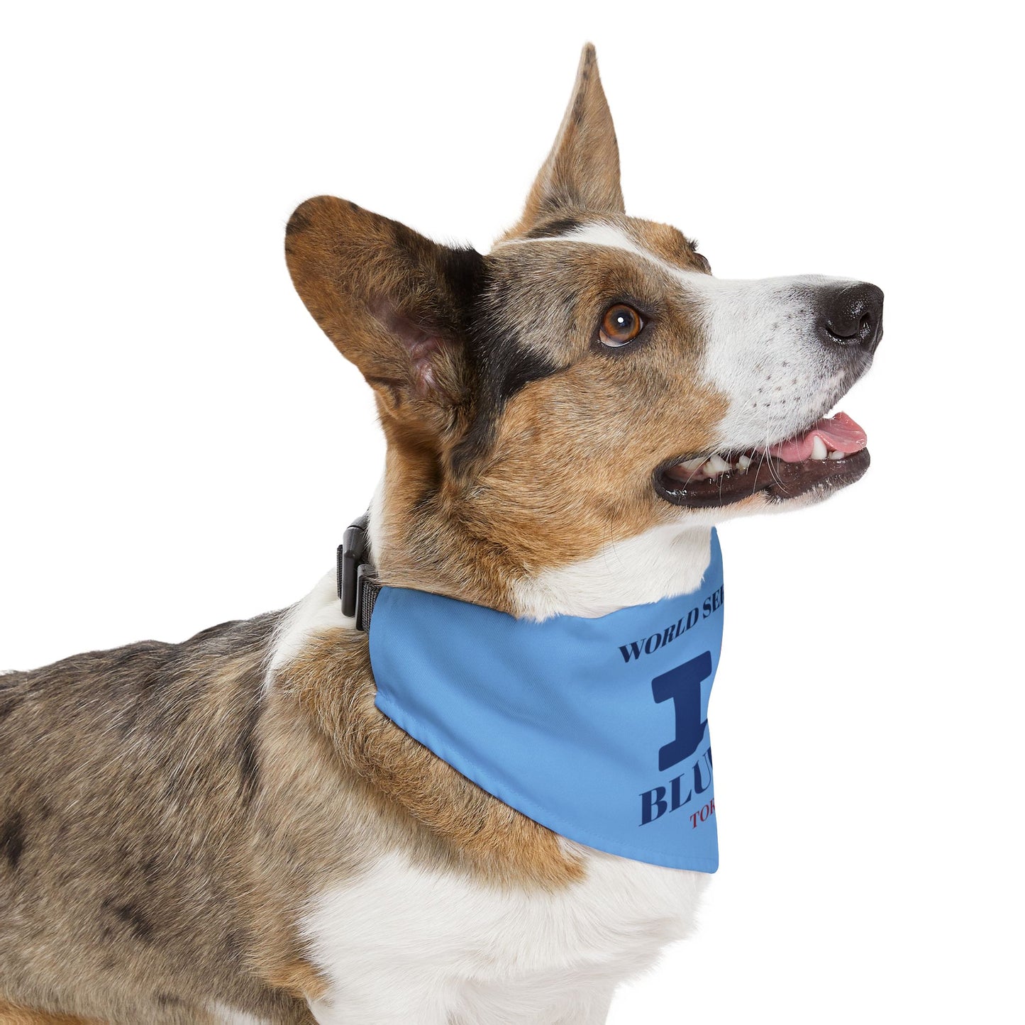 ♥️ Pet Bandana Collar - I Love Blue Jays