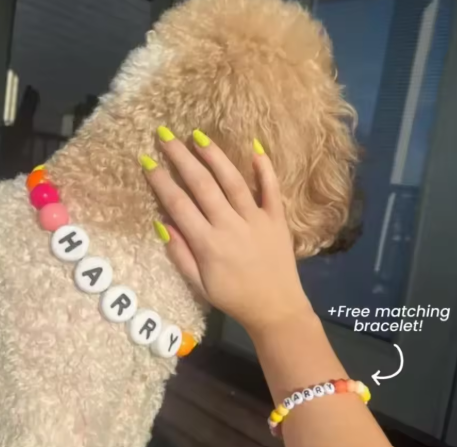 Personalized DogCat Beaded collar + Bracelet