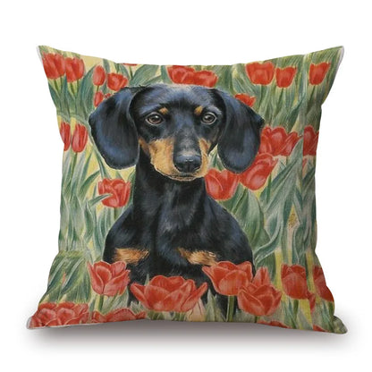 Dachshund Dog Cushion Covers