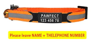 Custom Personalized Reflective Cat Collar