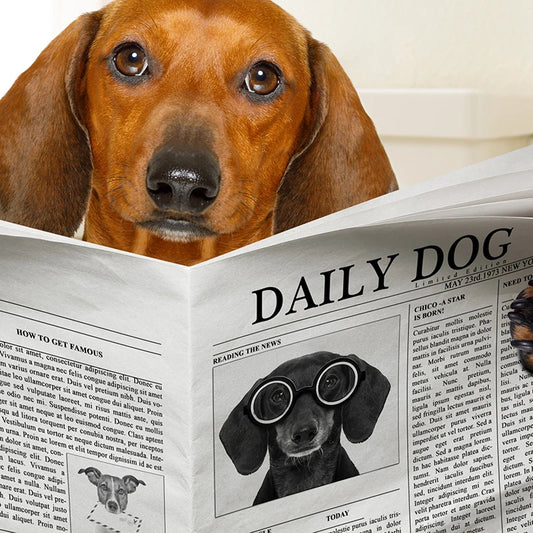 Dog Reading Newspaper Toilet Wall Art Canvas