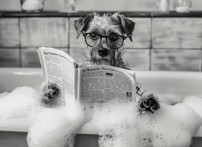 Funny Animal Tub Reading Newspaper Canvas Poster