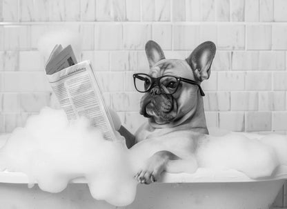 Funny Animal Tub Reading Newspaper Canvas Poster