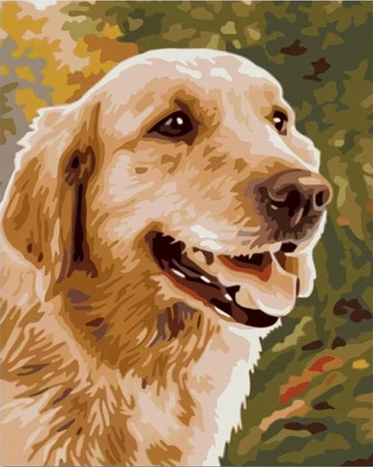 40x50cm Painting By Numbers Animals On Canvas