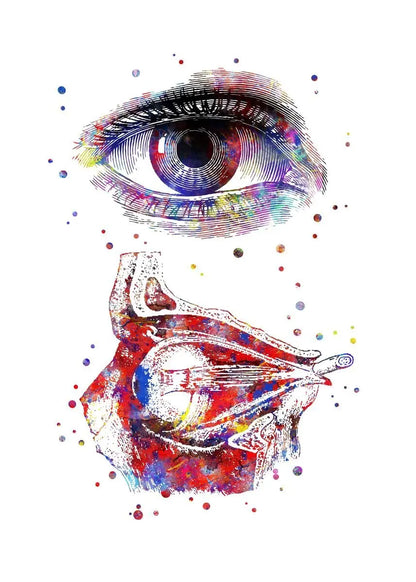 Optician human Eye Anatomy Art Canvas Painting