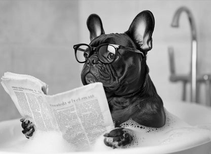 Funny Animal Tub Reading Newspaper Canvas Poster