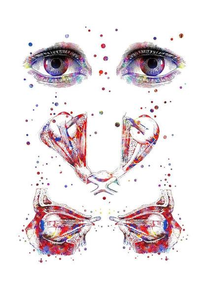 Optician human Eye Anatomy Art Canvas Painting