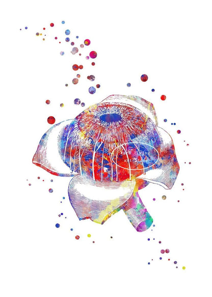 Optician human Eye Anatomy Art Canvas Painting