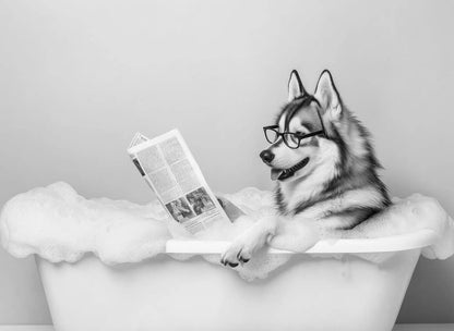 Funny Animal Tub Reading Newspaper Canvas Poster
