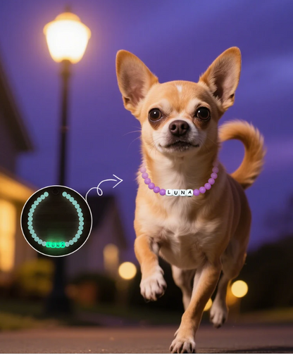 Glow in the Dark Custom Beaded Pet Collars