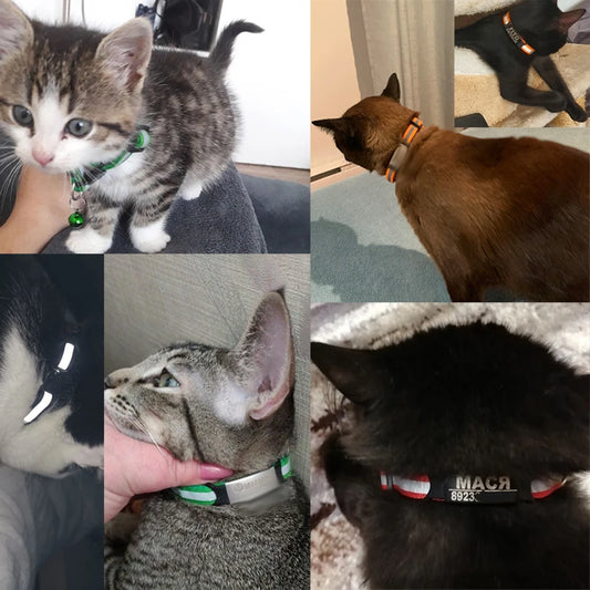 Custom Personalized Reflective Cat Collar